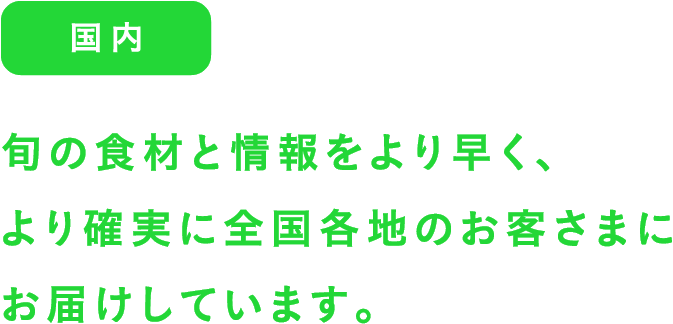 国内