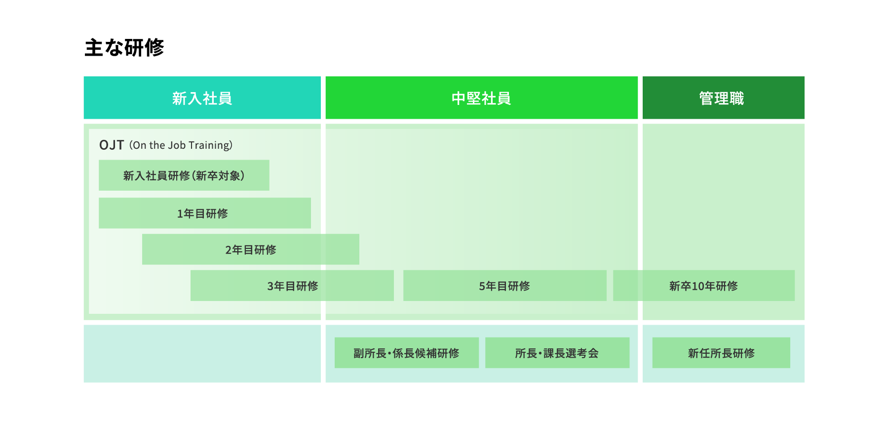 主な研修